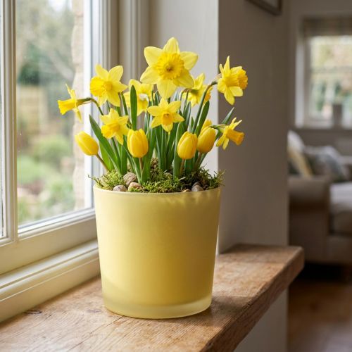 Vaso de flores de vidro banheira de vidro decorativo amarelo Ø11.5cm H11cm | Floristik24.pt
