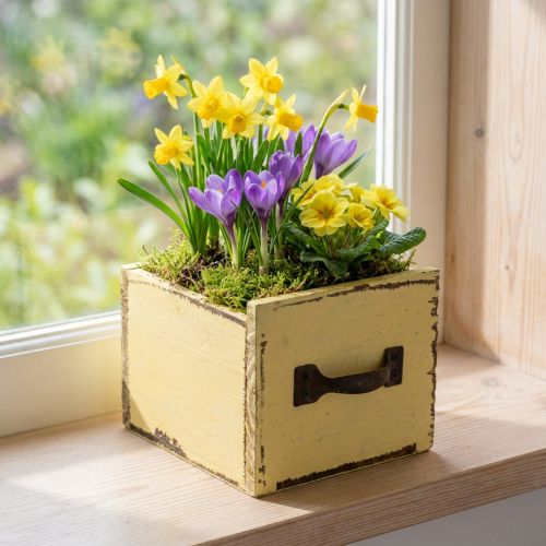 Gaveta de plantas caixa de plantas decorativas em madeira amarelo 12,5 cm | Floristik24.pt