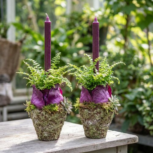 Vaso rústico com aparência de floresta Ø12,5cm H12cm 2 unidades | Floristik24.pt