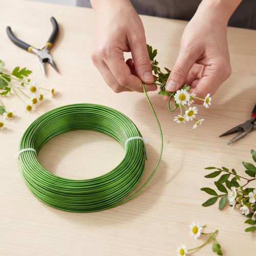 Fio de alumínio Ø2mm Verde maio 60m 500g Fio decorativo Fio para joias Fio para artesanato | Floristik24.pt