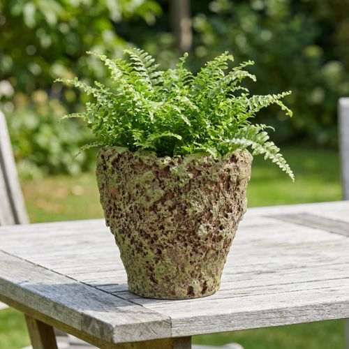 Vaso rústico com efeito musgo Ø17cm A16,5cm | Floristik24.pt