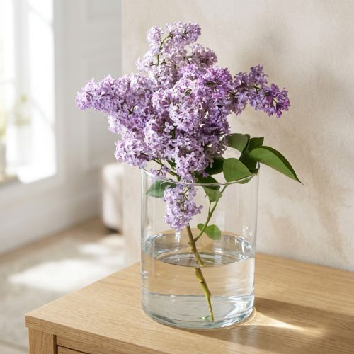 Vaso de vidro transparente cilíndrico Ø12cm H20cm | Floristik24.pt
