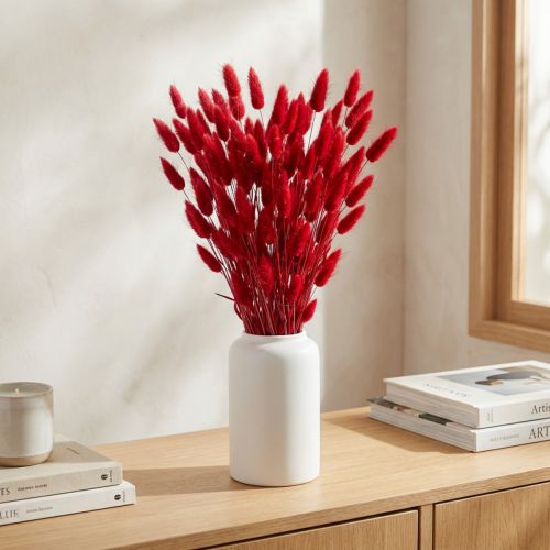 Grama Rabo de Coelho (Lagurus) Seca Vermelha 60cm 50g Decoração de Flor Seca | Floristik24.pt