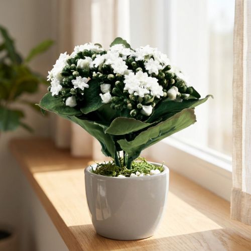 Kalanchoe Artificial Flamejante Käthchen Branco 24cm | Floristik24.pt