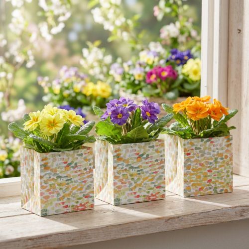 Saco de presente saco de planta saco de presente estampado 12 cm 8 unidades | Floristik24.pt