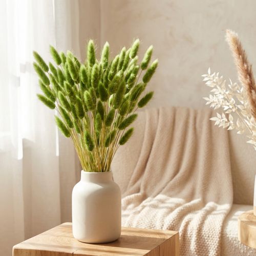 Grama cauda de coelho grama ornamental Lagurus verde oliva C65cm 50g | Floristik24.pt