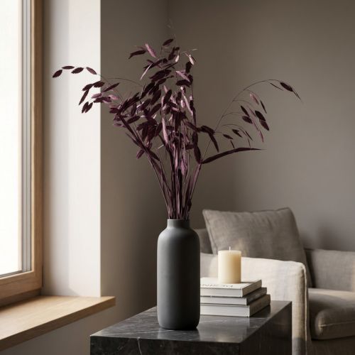 Itens Capim-orelha-chata, capim seco Chasmantium roxo 70cm 10 unidades