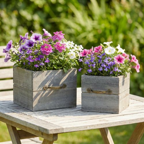 Gaveta de madeira lavada cinza 15×15cm/12×12cm conjunto de 2 | Floristik24.pt