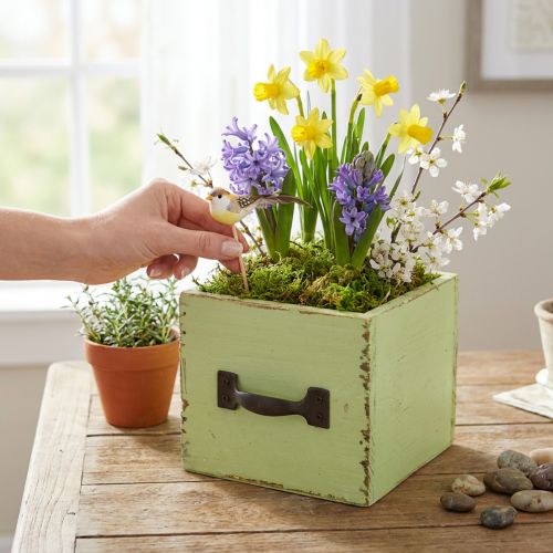 Gaveta de plantador verde claro shabby chic 12,5×12,5×10cm | Floristik24.pt
