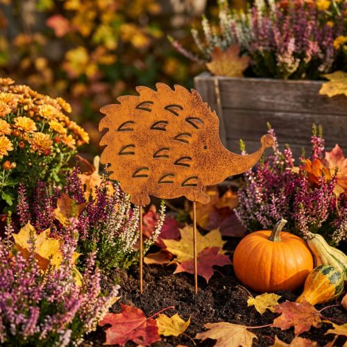 Estaca de jardim decorativa com ouriço e pátina de ferrugem, 20 cm | Floristik24.pt