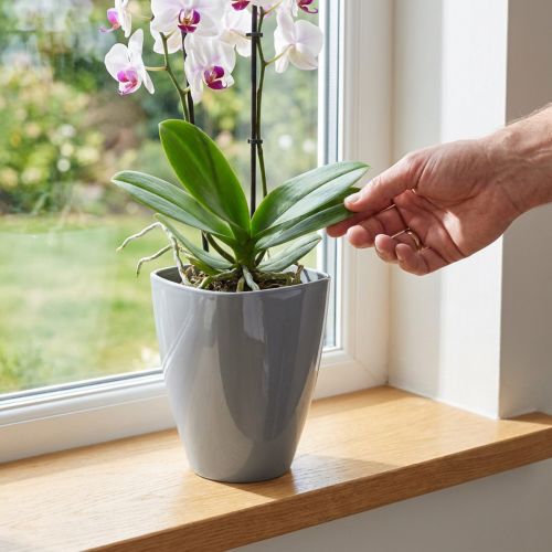 Vaso de orquídea brilhante Ø12,5cm cinza 1ud | Floristik24.pt