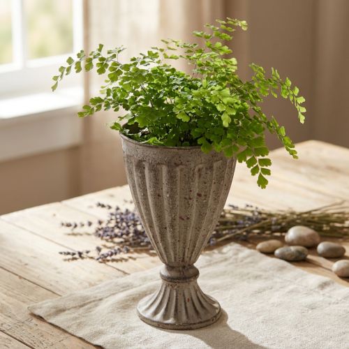 Plantador de troféus