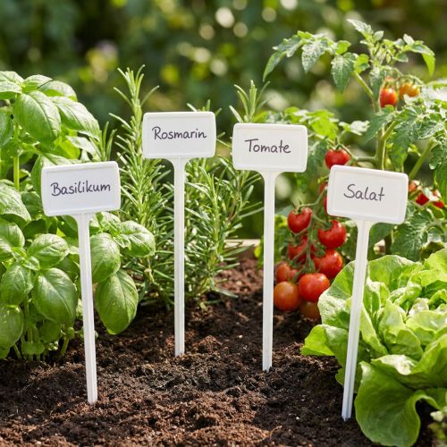 Etiqueta de planta para troca de 40 cm 10 unidades. | Floristik24.pt