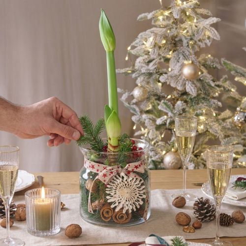 Lanterna decorativa para vaso de vidro transparente Ø18cm Alt.20cm | Floristik24.pt