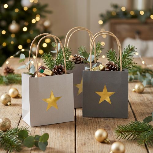 Itens Sacolas de papel com estrela e alça cinza sortidas 12×12×12cm 9 unidades