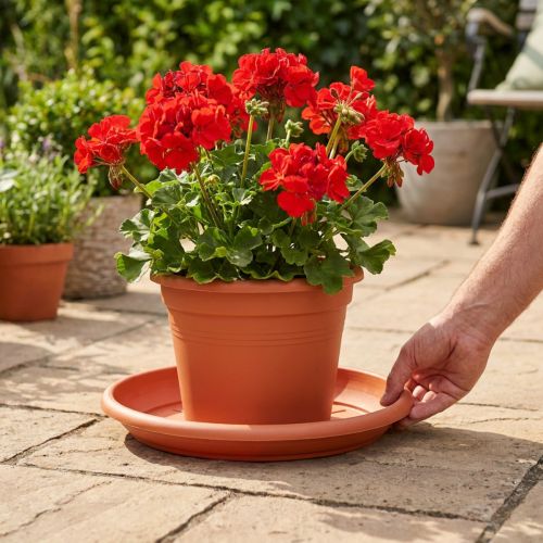 Base para copos “Linda” Ø37cm terracota | Floristik24.pt