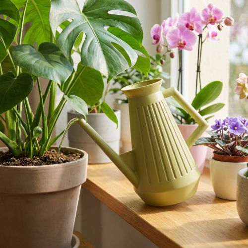 Regador de interior, verde-oliva, estilo retrô, 24,5 cm, 1,8 L, regador de design, plástico, para regar plantas. | Floristik24.pt