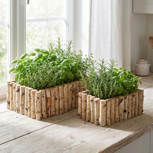 Caixa para plantas caixa de ervas de madeira bétula C23/28cm conjunto de 2 | Floristik24.pt