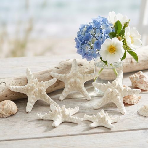 Estrelas-do-mar brancas decorativas, estrelas-do-mar secas para artesanato, 7-11 cm, 15 unidades | Floristik24.pt
