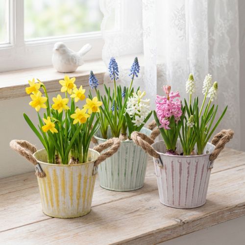 Balde para plantas, vaso de metal com alças, floreira decorativa, rosa/verde/amarelo, estilo shabby chic, Ø12cm, A10cm, conjunto de 3 | Floristik24.pt