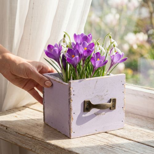 Gaveta Shabby Chic Deco Madeira Roxo Primavera Deco 12,5×12,5×10cm | Floristik24.pt