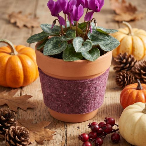Itens Fita de feltro, fita para vaso berry 15cm 5m