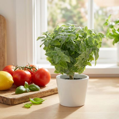 Menta verde artificial 25 cm 12 unidades | Floristik24.pt