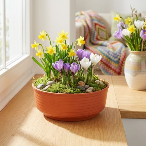 Tigela em Z de plástico Ø16cm 10 peças | Floristik24.pt