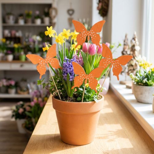 Plugue de flor de madeira borboleta colorido 9cm/29cm 12 unidades | Floristik24.pt