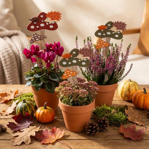 Decoração de agaric de mosca de vara de flor ouriço decoração de outono 8cm 12 peças | Floristik24.pt