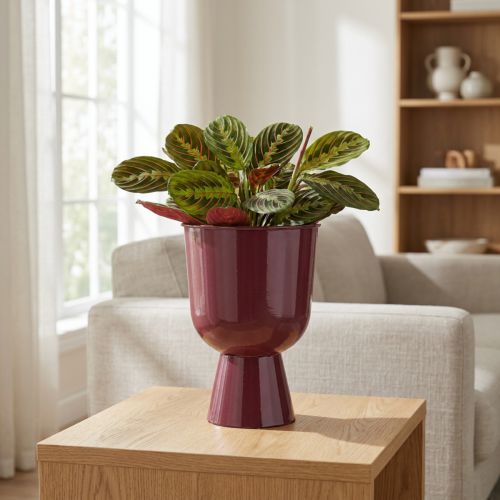 Vaso de flores em formato de taça, estilo moderno, decorativo para qualquer casa ou escritório, 23 cm | Floristik24.pt