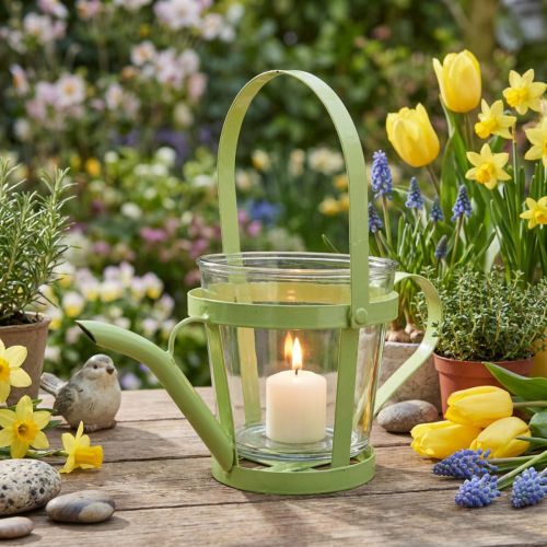 Lanterna regador decorativo de vidro metal verde Ø14cm Alt.13cm | Floristik24.pt