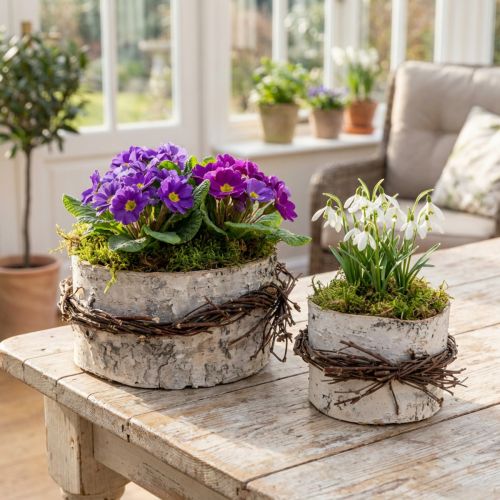 Floreira vaso em madeira de bétula branco Ø11/16cm conjunto de 2 | Floristik24.pt