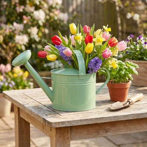 Regador decorativo de metal, cor menta, para plantas e decoração, primavera/verão, 26 cm de altura, 5 litros. | Floristik24.pt