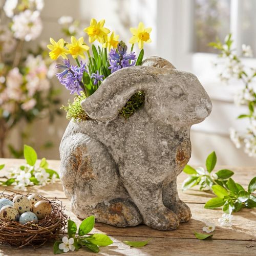 Vaso decorativo de concreto para coelho Páscoa cinza antigo H27cm | Floristik24.pt