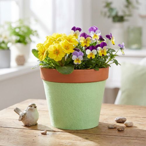 Fita de feltro para vaso verde claro 15cm 5m | Floristik24.pt