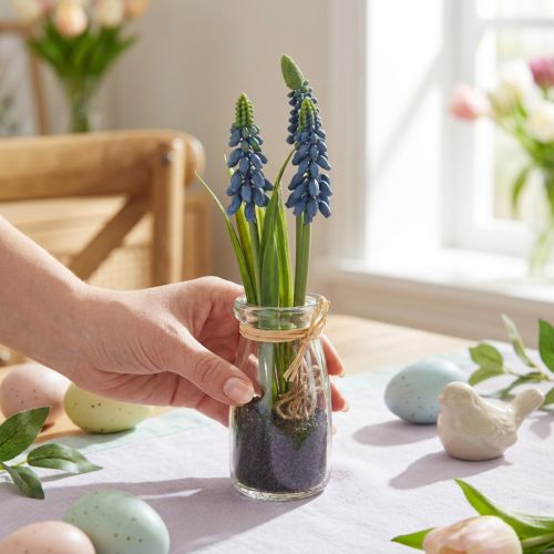 Jacinto artificial Pérola jacinto azul em vidro H22cm 2 peças | Floristik24.pt