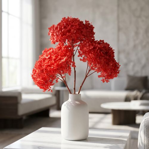Hortênsia decorativa: flor seca preservada para decoração de interiores elegante. | Floristik24.pt