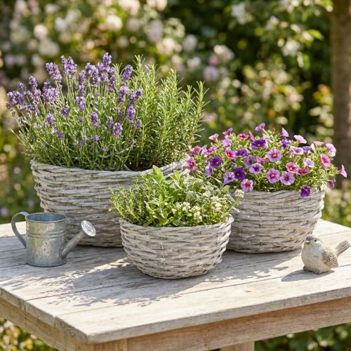 Conjunto de cestos de vime para plantas, branco e cinza, estilo shabby chic, 3 peças | Floristik24.pt