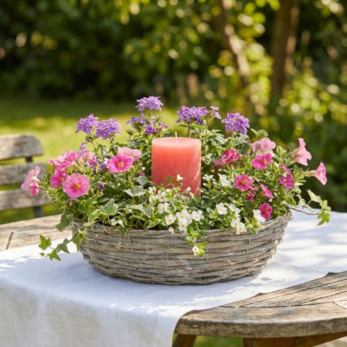 Vaso de salgueiro, branco, com aparência natural, anel decorativo para design criativo de jardins, Ø35/30cm, conjunto de 2, versátil | Floristik24.pt