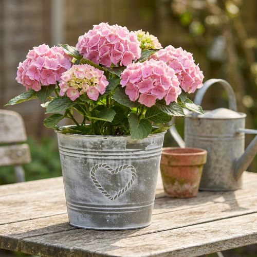 Vaso de flores estilo shabby chic, floreira de metal em formato de coração, Ø22cm, A17,5cm | Floristik24.pt