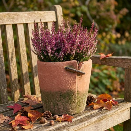 Vaso de flores de concreto vaso de terracota Ø18cm A17cm | Floristik24.pt