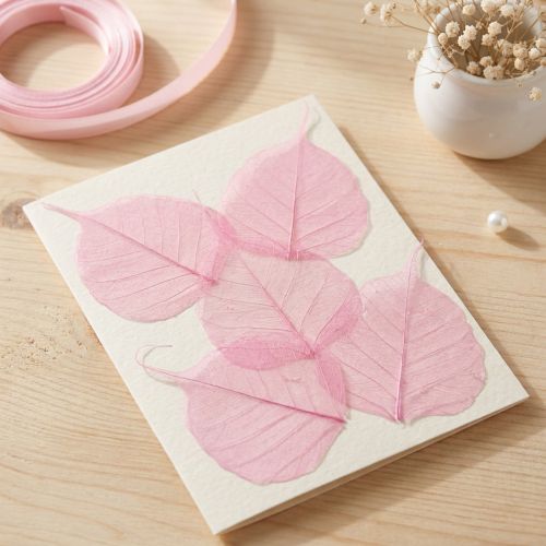 Folhas esqueletizadas, folhas decorativas de salgueiro rosa de 5 a 9 cm, 200 unidades - Ideais para cartões de felicitação e projetos DIY. | Floristik24.pt