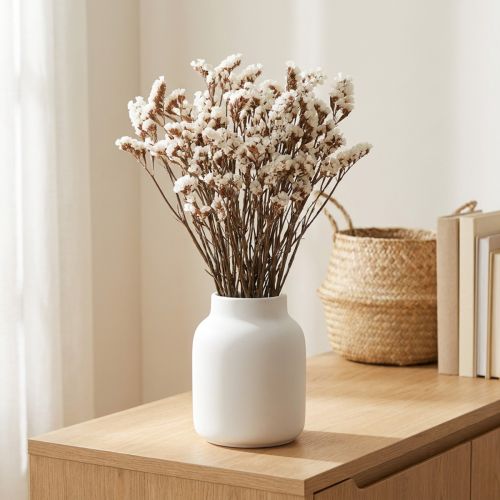 Flores secas de lavanda-do-mar branca (Limonium), 60 cm, 35 g | Floristik24.pt