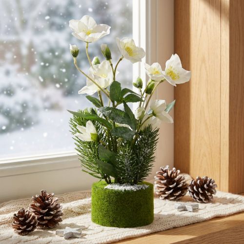 Rosa de Natal artificial com pinheiro e bola de musgo, coberta de neve branca, 33 cm | Floristik24.pt