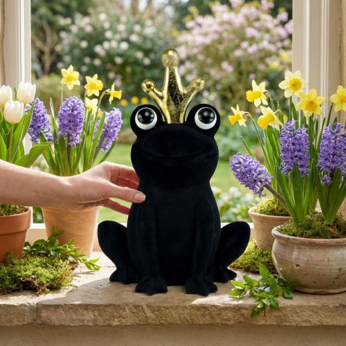 Sapo decorativo, sapo príncipe, decoração de primavera, sapo com coroa dourada preta 40,5cm | Floristik24.pt