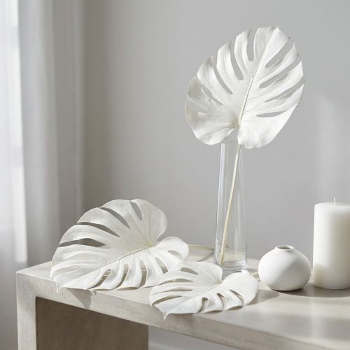 Itens Folhas de Monstera branqueadas, folha decorativa para janela, 40 cm de altura, 5 peças