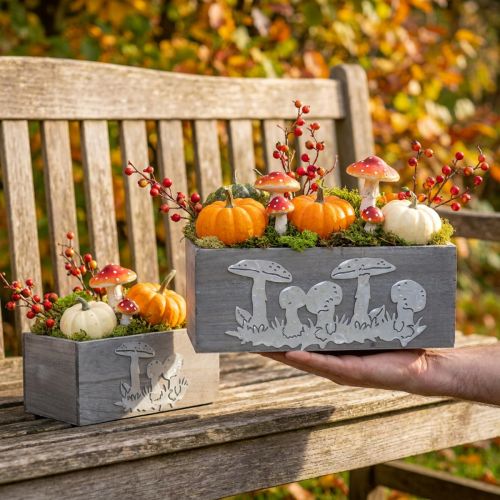 Conjunto de caixa de madeira cogumelo, decorações de outono, decorações de jardim, caixas de plantas L40 / 30cm, conjunto de 2 | Floristik24.pt
