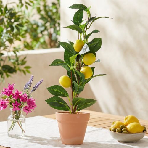 Limoeiro em vaso, planta artificial de 42 cm - árvore artificial para decoração mediterrânea | Floristik24.pt