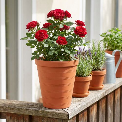 Vaso de rosas de plástico 19cm terracota 1ud | Floristik24.pt